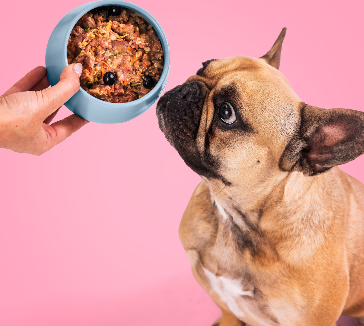 Special: Salmon & Beef with Marine Collagen