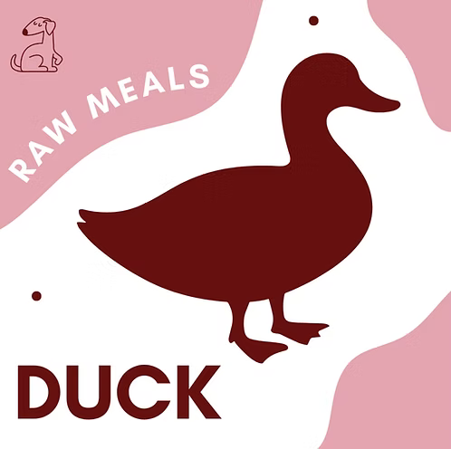 Duck Heads 4 pack