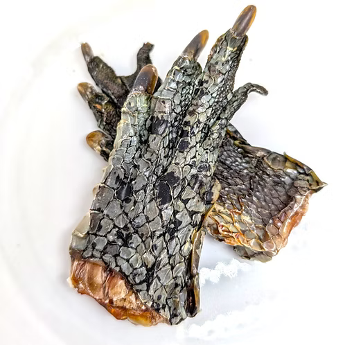 Crocodile Feet - 2 pack