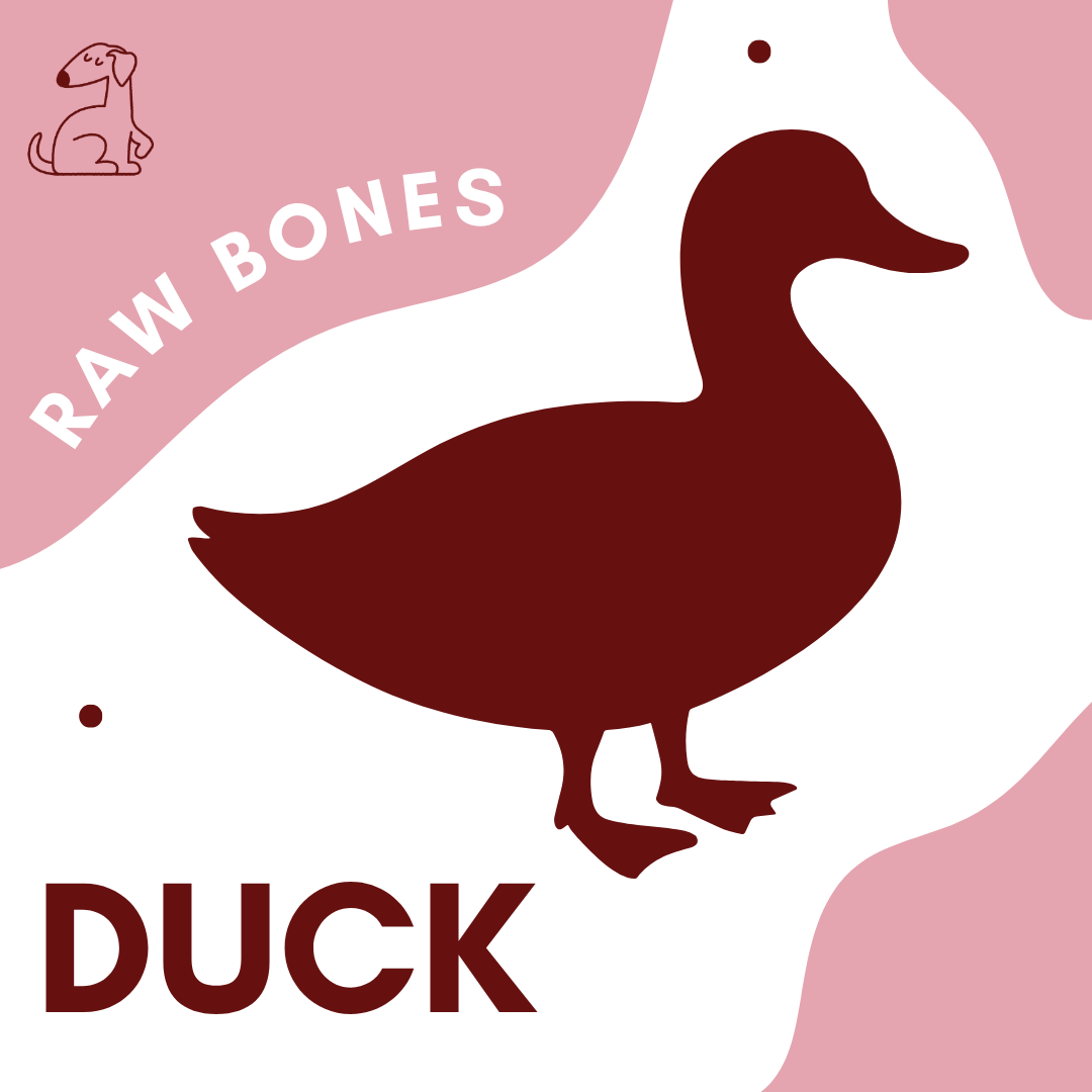 Whole Duck Frames 2 pack