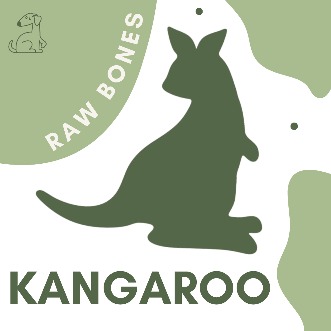 Kangaroo Ribs 4 pack